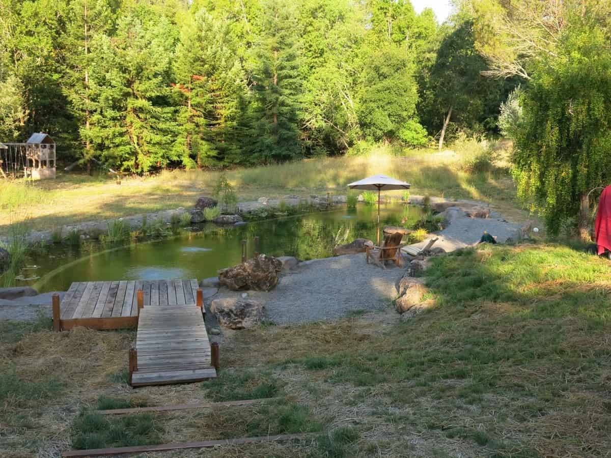 A Small Pond With A Coast To Relax