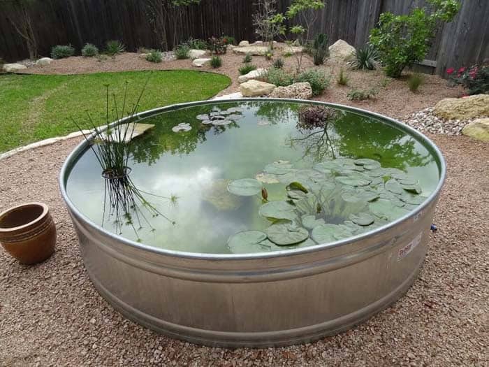 Repurpose Galvanized Stock Tanks as Ponds