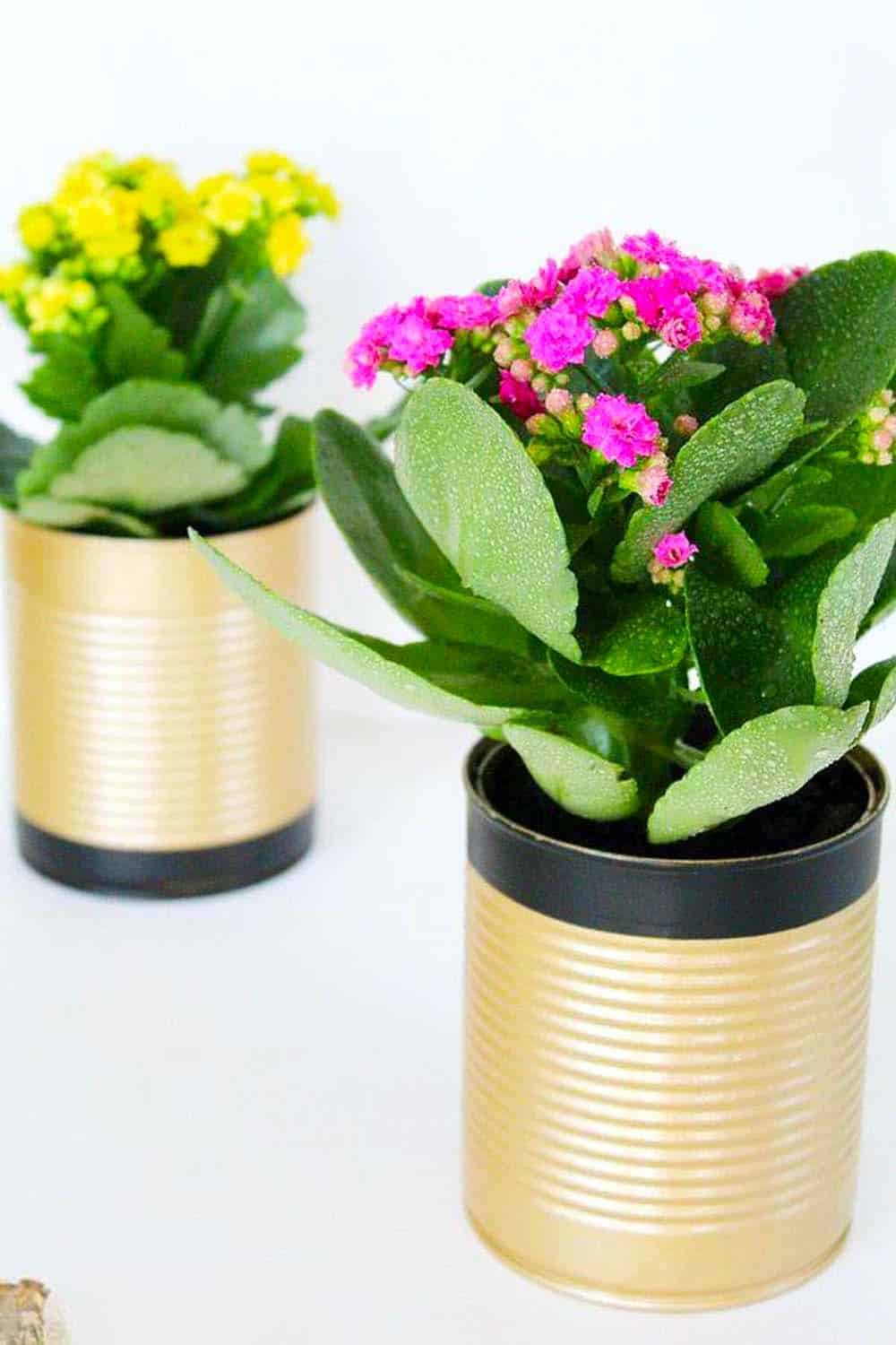 Upcycled Can Planters