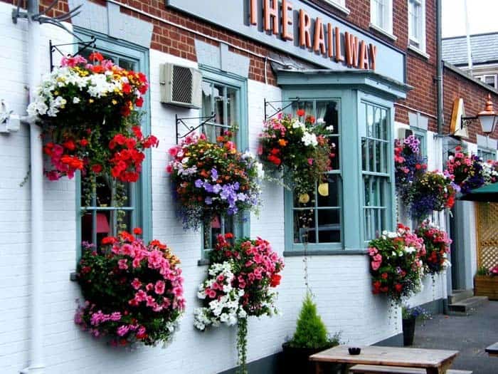 Flower Display with Hanging Planters and Light Brackets