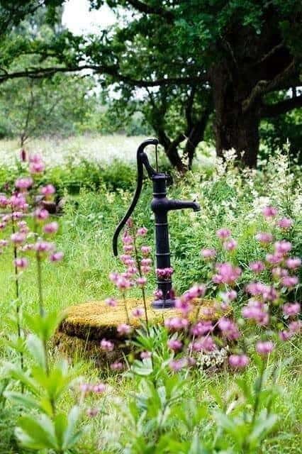 Surrounded by Wild Flowers