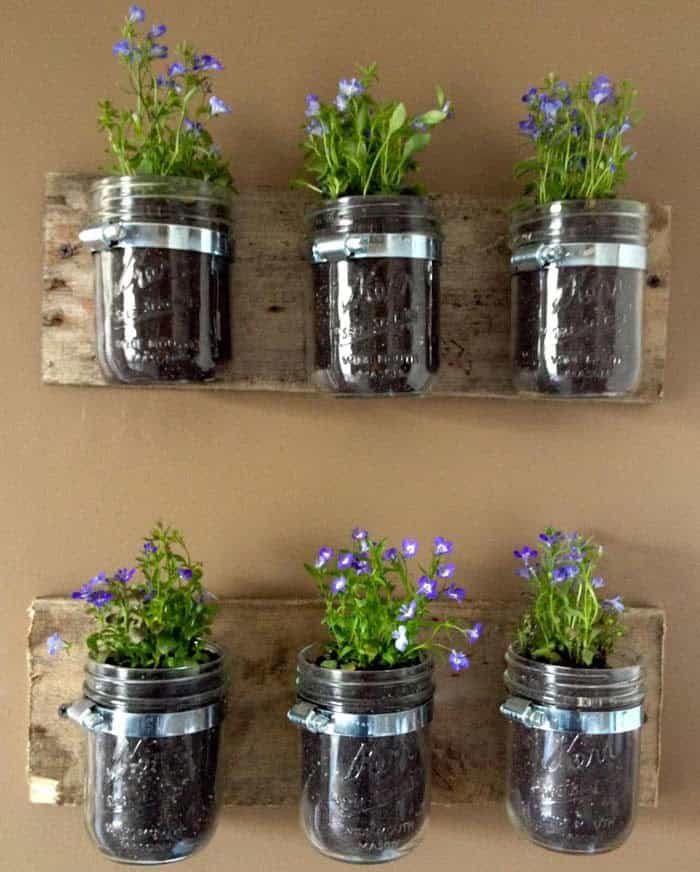 Garden Inside With Hanging Jar Planters