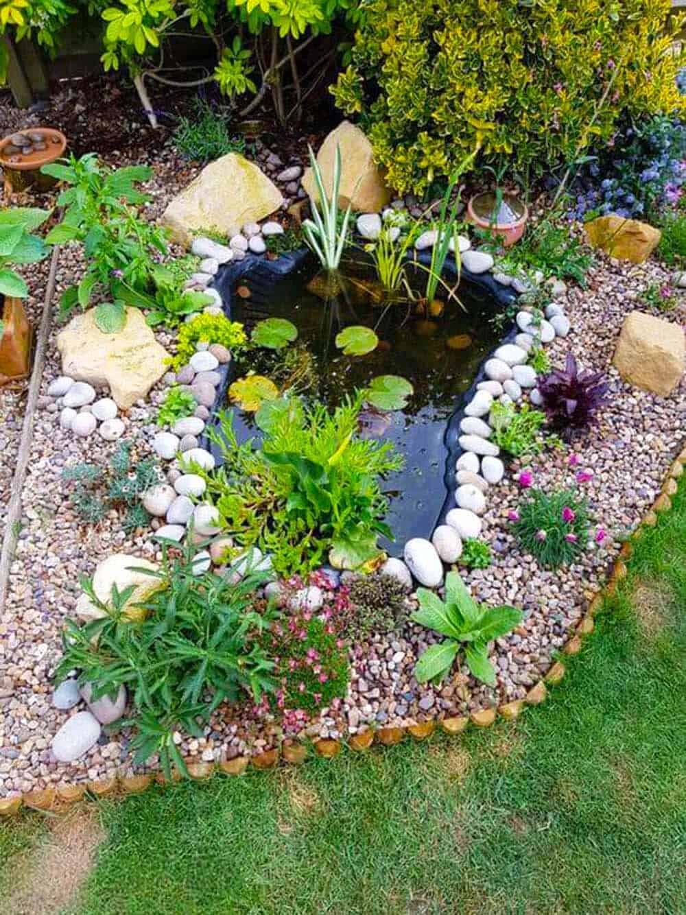 Backyard Pond Haven