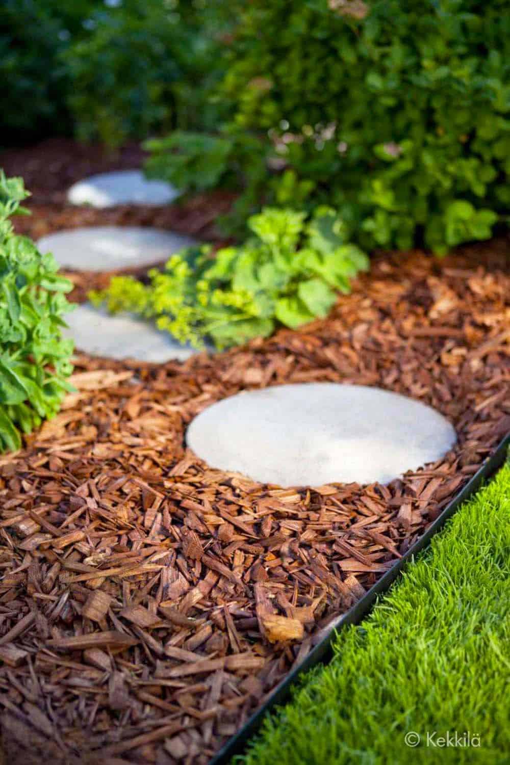 Serene Garden Path