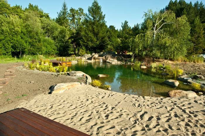 A Pool That Looks Like a Pond