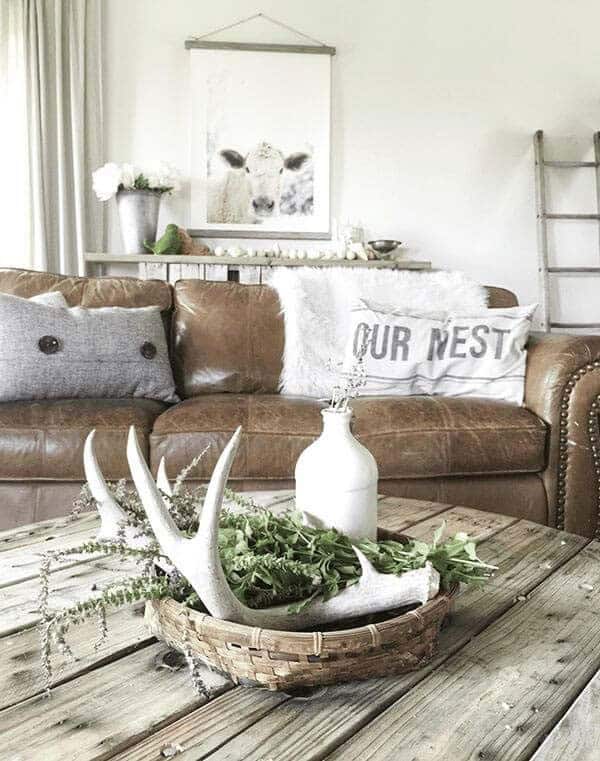 Nature-Inspired Living Room Centerpiece with Antlers