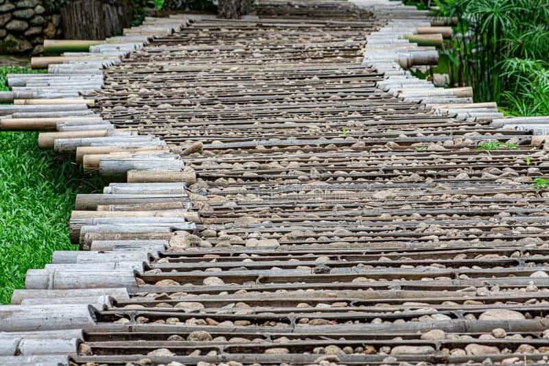 Stone and Bamboo Walkway