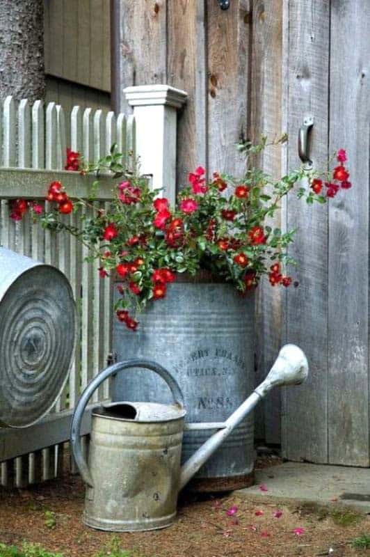 Plant Flowers in Style with Galvanized Buckets