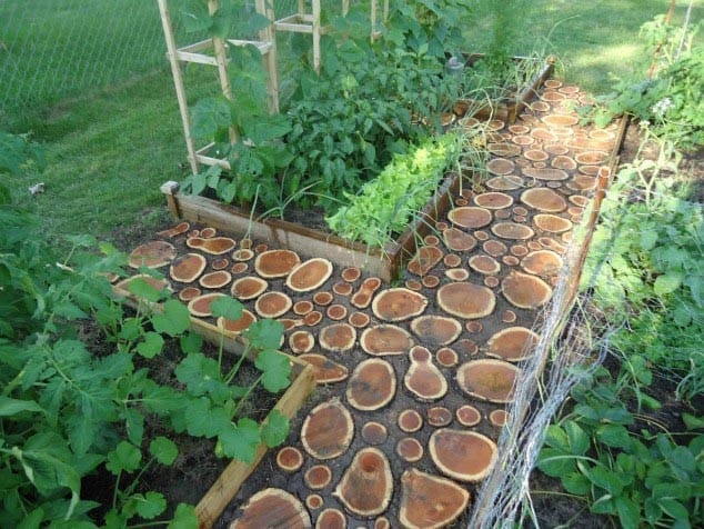 Tree logs pathway