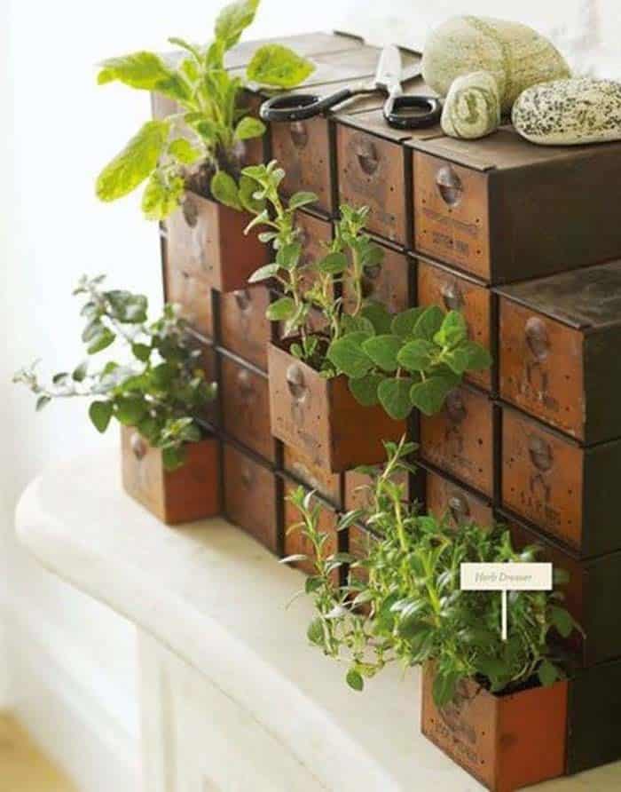 Vintage Card Cabinet Planter