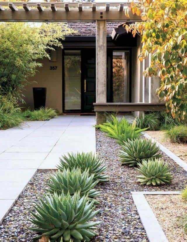 Hardscape and Cacti