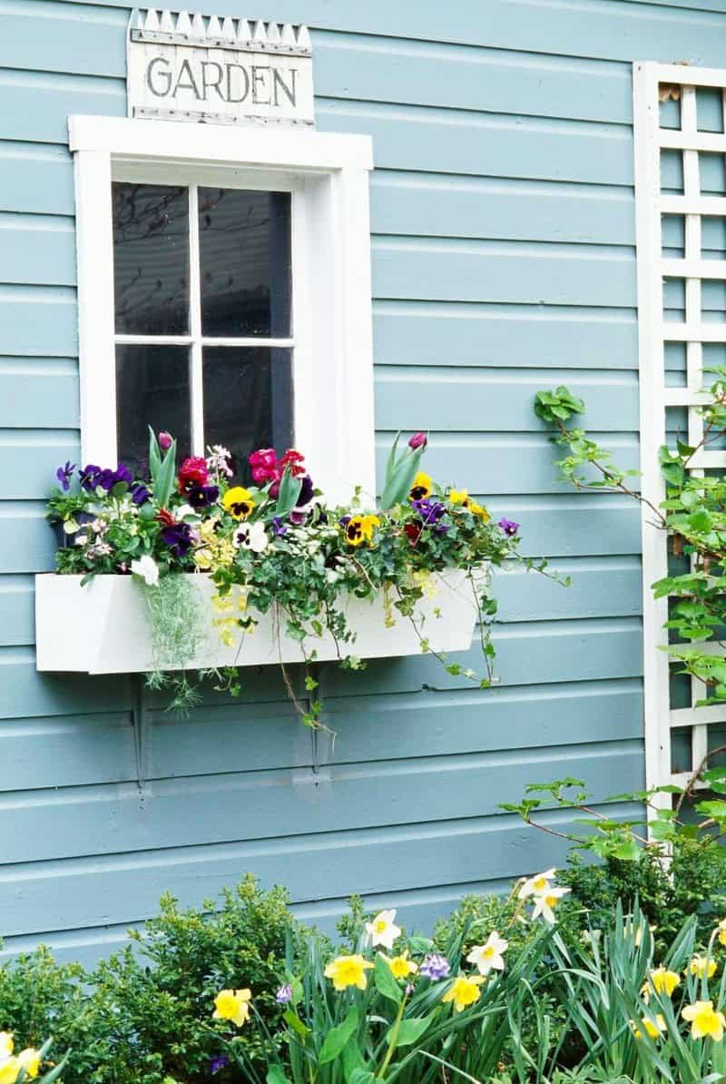 Cottage Garden On The Window