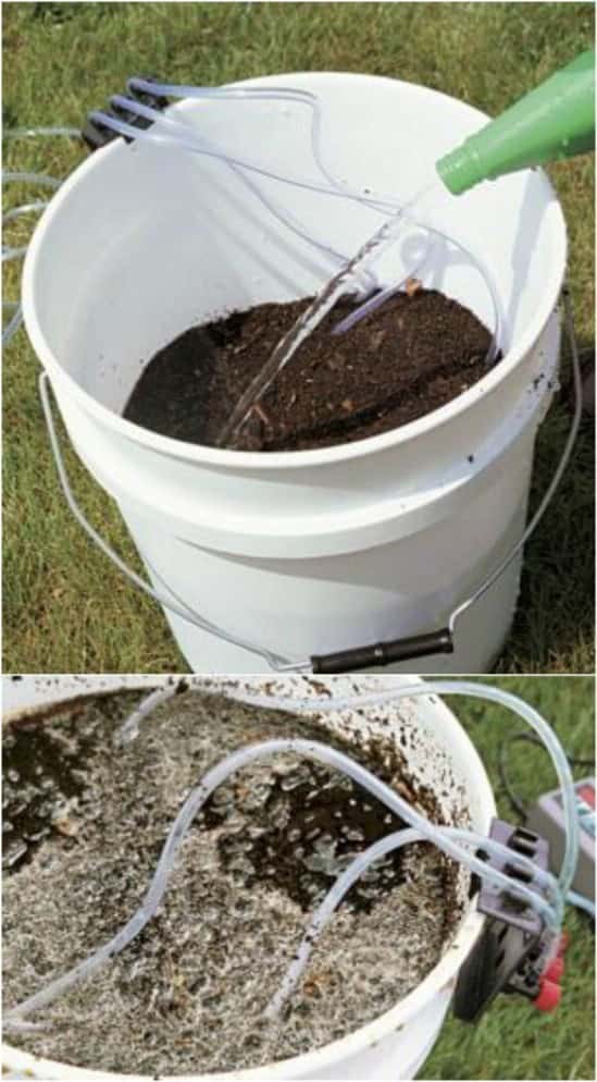 Composting Tea Bucket