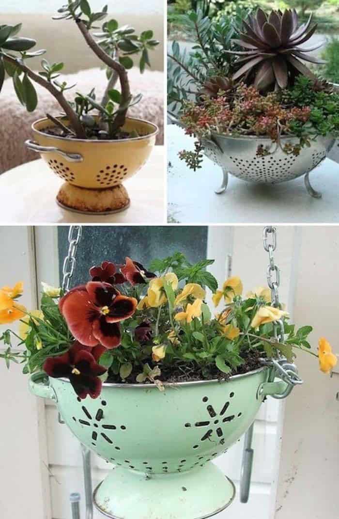 Repurpose Colanders For Planters With Drainage