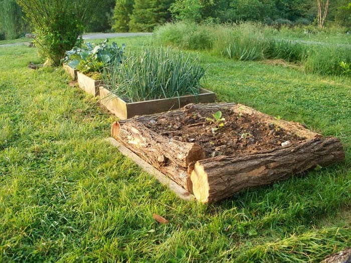 Build Raised Gardens Using Salvaged Materials