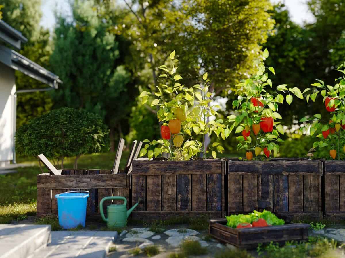 A Crate Garden