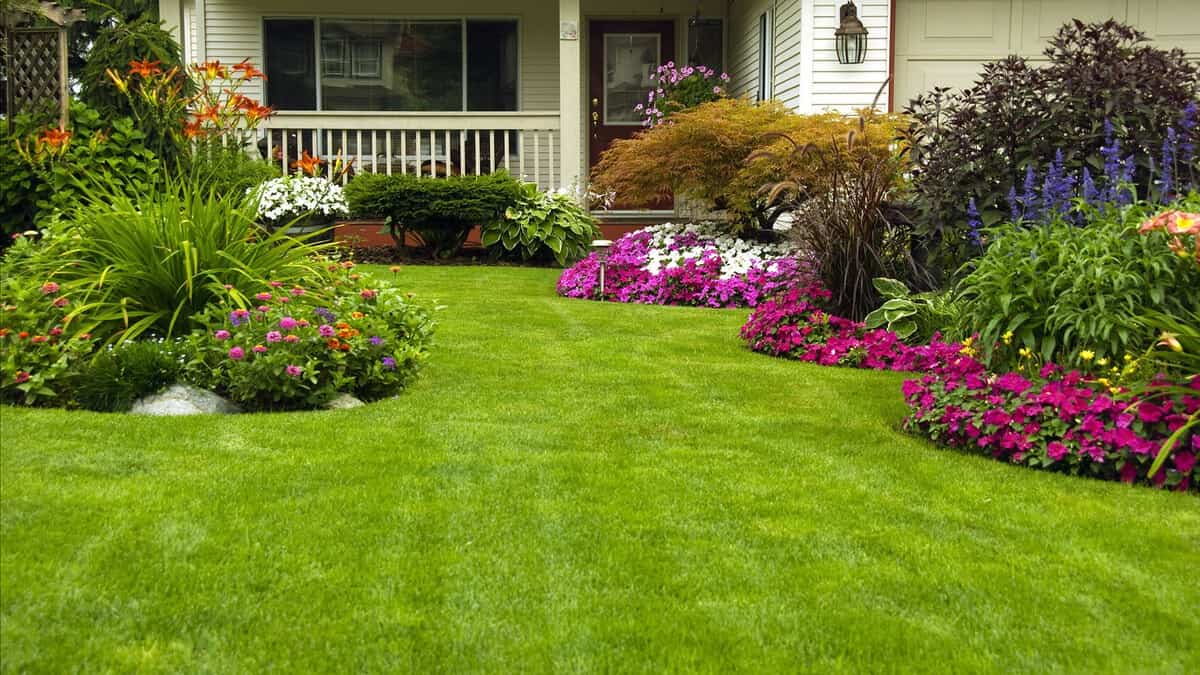 Flower Bed With No Edging