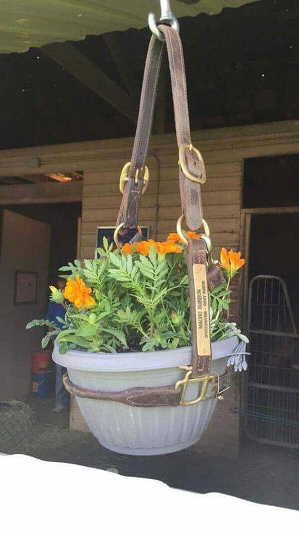 Upcycle a Horse Bridle Into Flower Pot Hanger