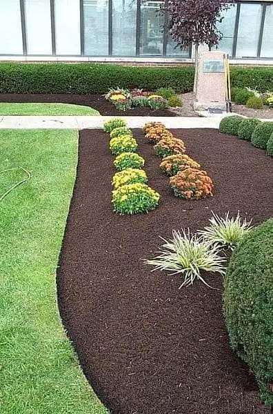 Upgrade Your Garden Look with Shredded Mulch