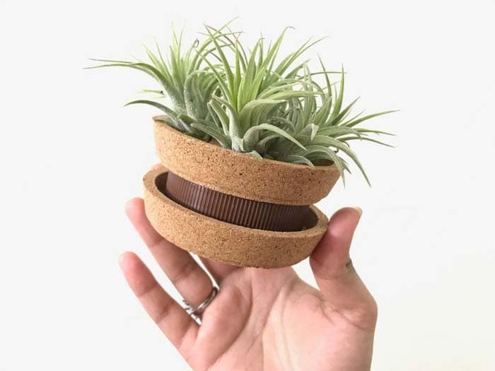 Create a Succulent Planter with a Plastic Lid and Coasters