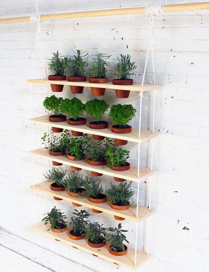 Grow Your Herbs with a Hanging Planter