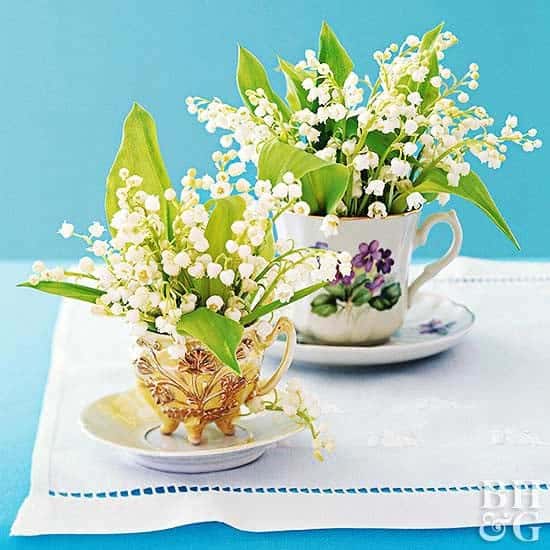 Brighten Your Table Decor with Classic Teacup Planters