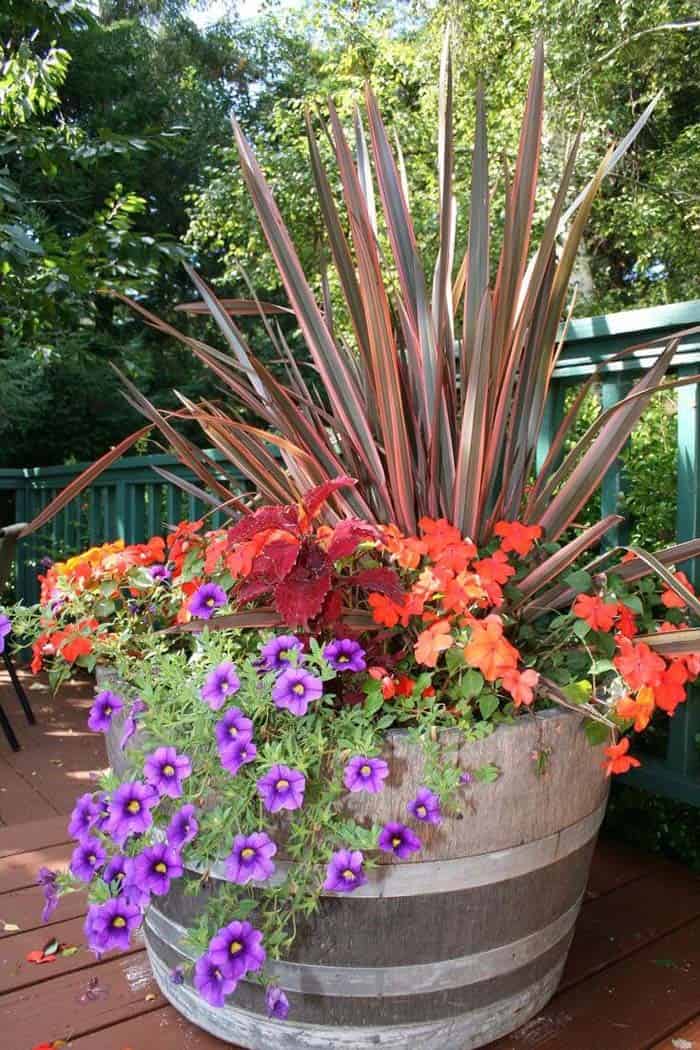 Elevate Your Porch with Large Barrel Planters