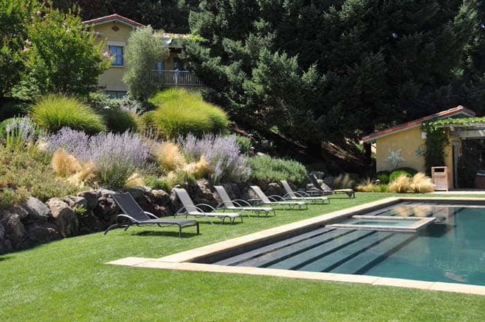 Transform a Pool Area with Sage Bushes and Flowering Plants