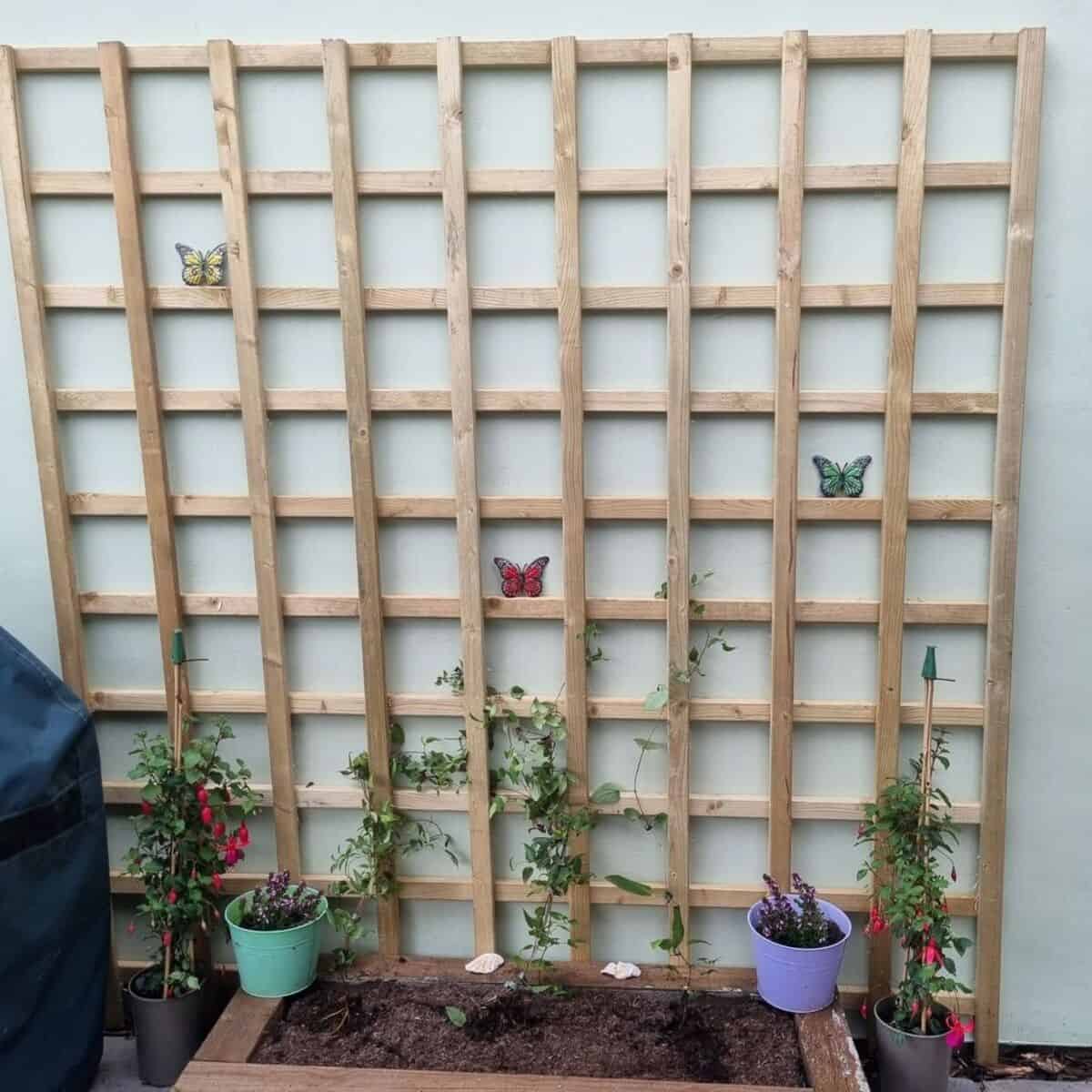 Wall-mounted Trellis