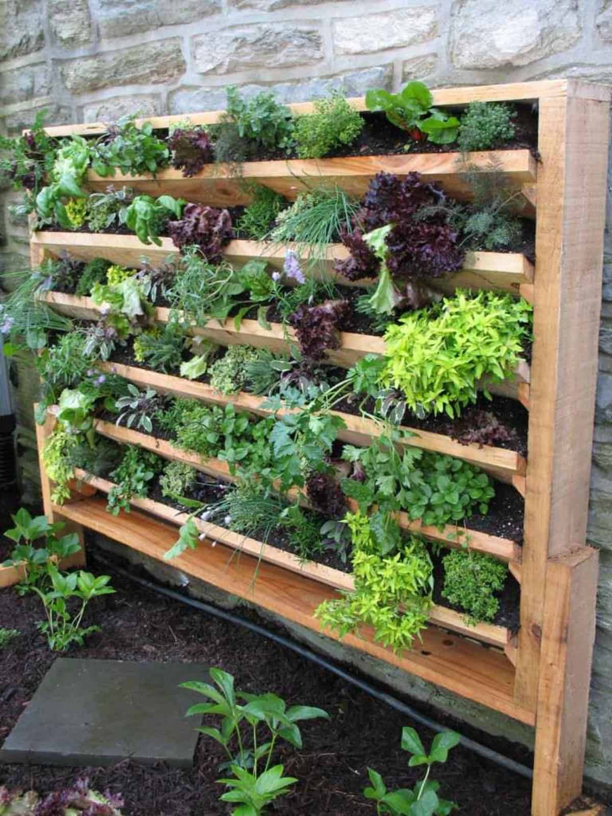 Vertical Veggie Garden