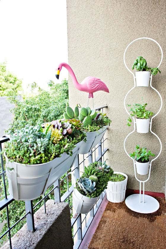 Hang Your Succulent Planters on Balcony Railings