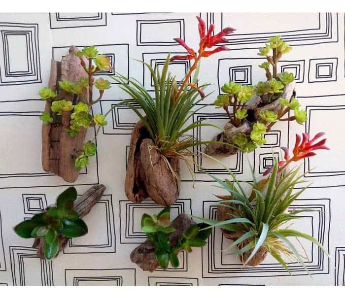 Coastal Driftwood Wall Garden