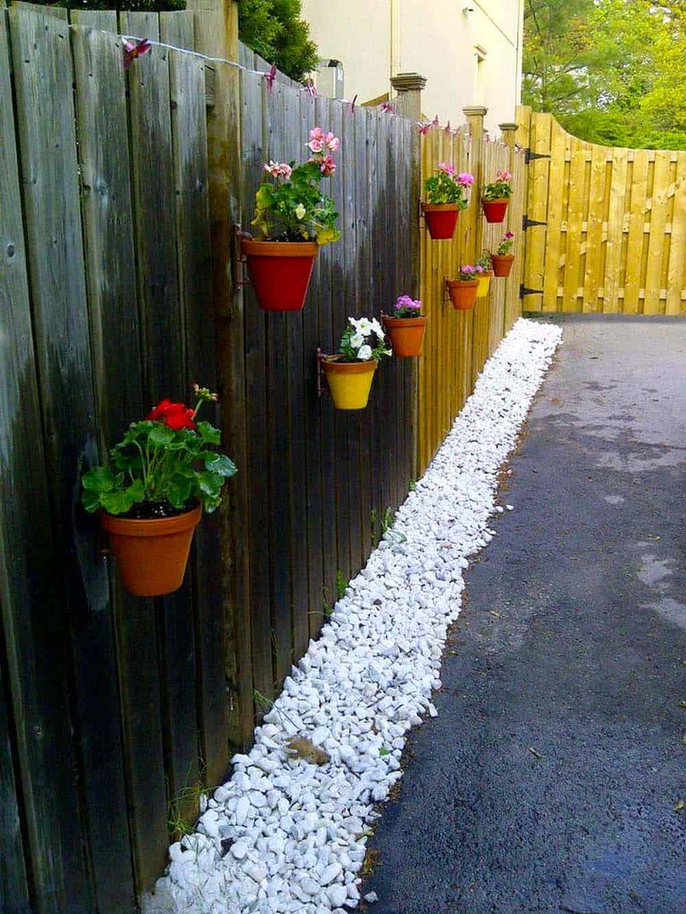 Blooming Fence Line