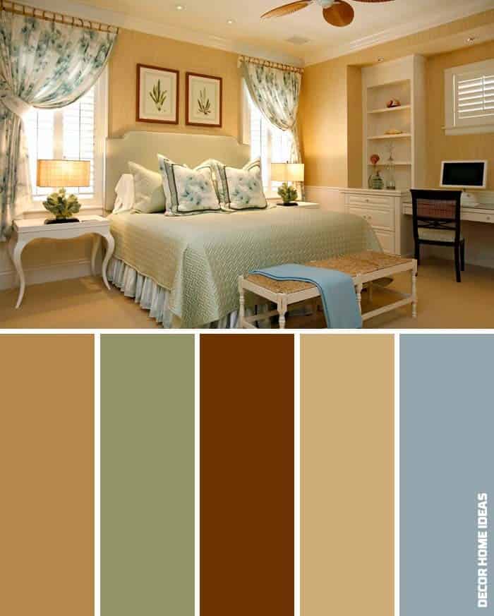 Apricot, Brown, and Maya Blue