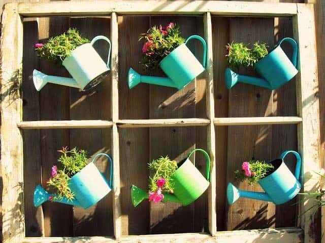 Frame Colorful Watering Cans