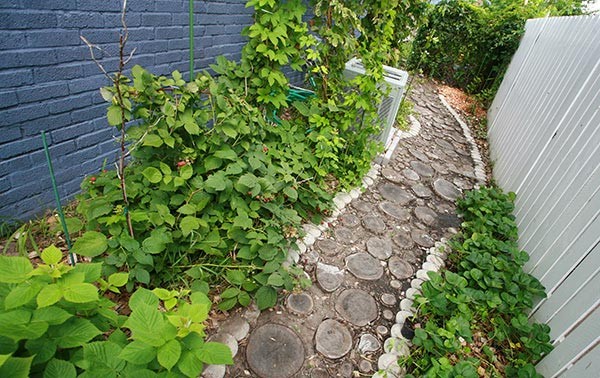 Wood-Slice Pathway