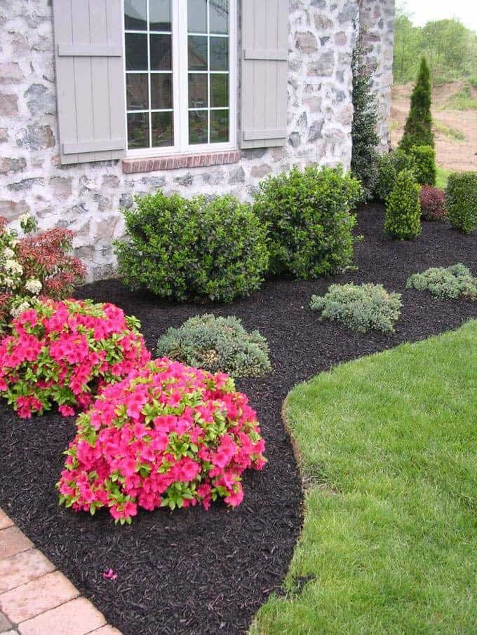 Annuals Add Color to Evergreen Border