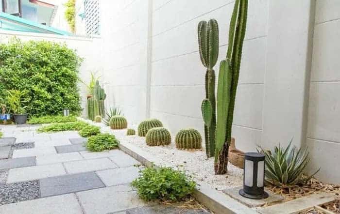 Make A Garden With Exotic Plants