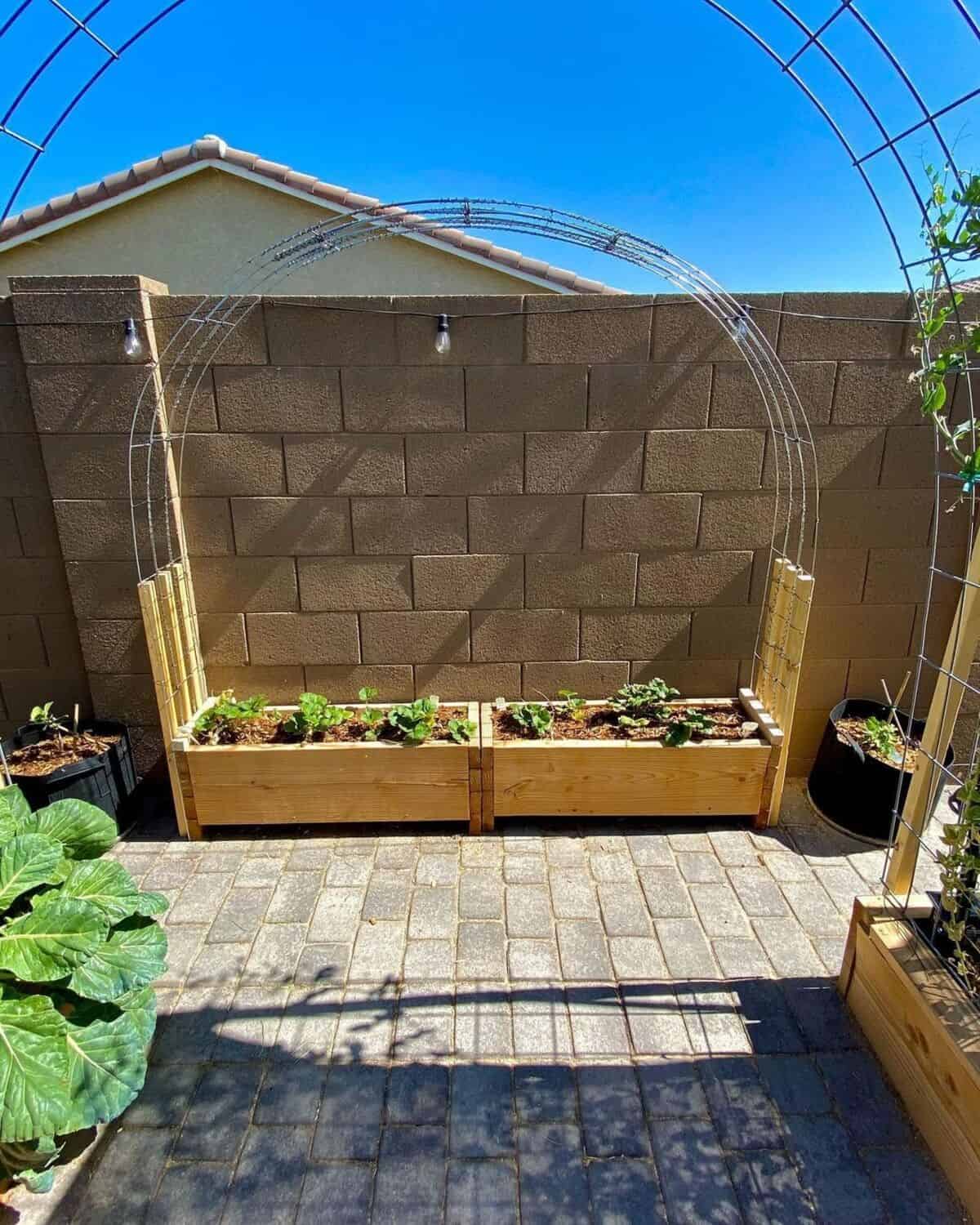 Pot With Built-in Trellis