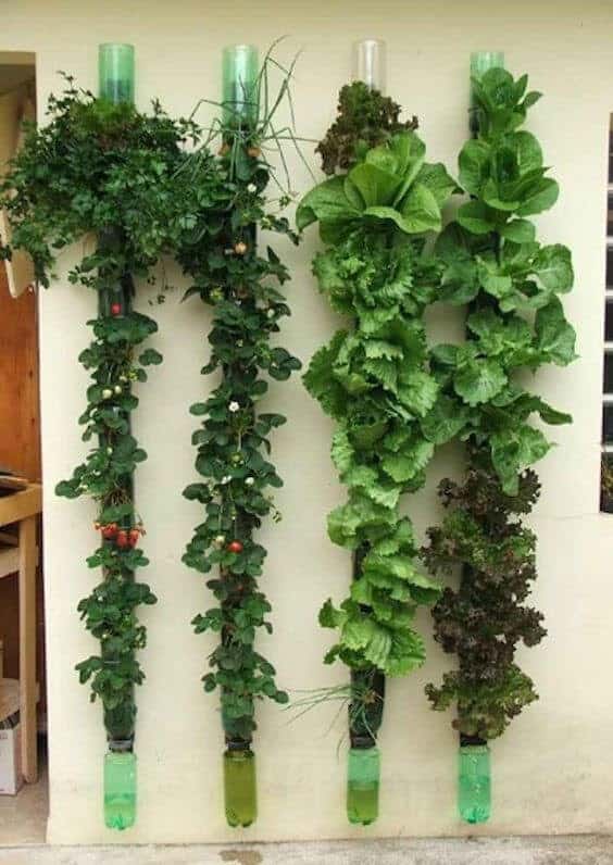 Column Vertical Garden