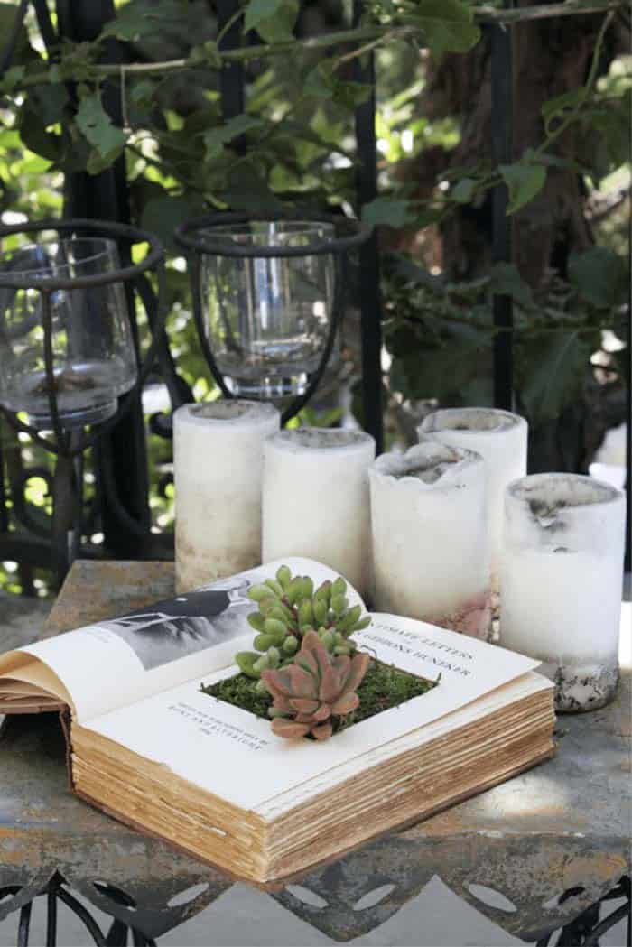 An Old Book Makes A Charming Succulent Planter