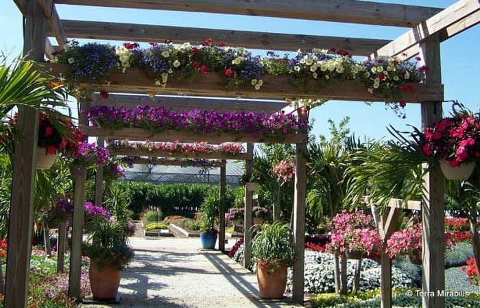 Attached Flower Box Pergola Walkway