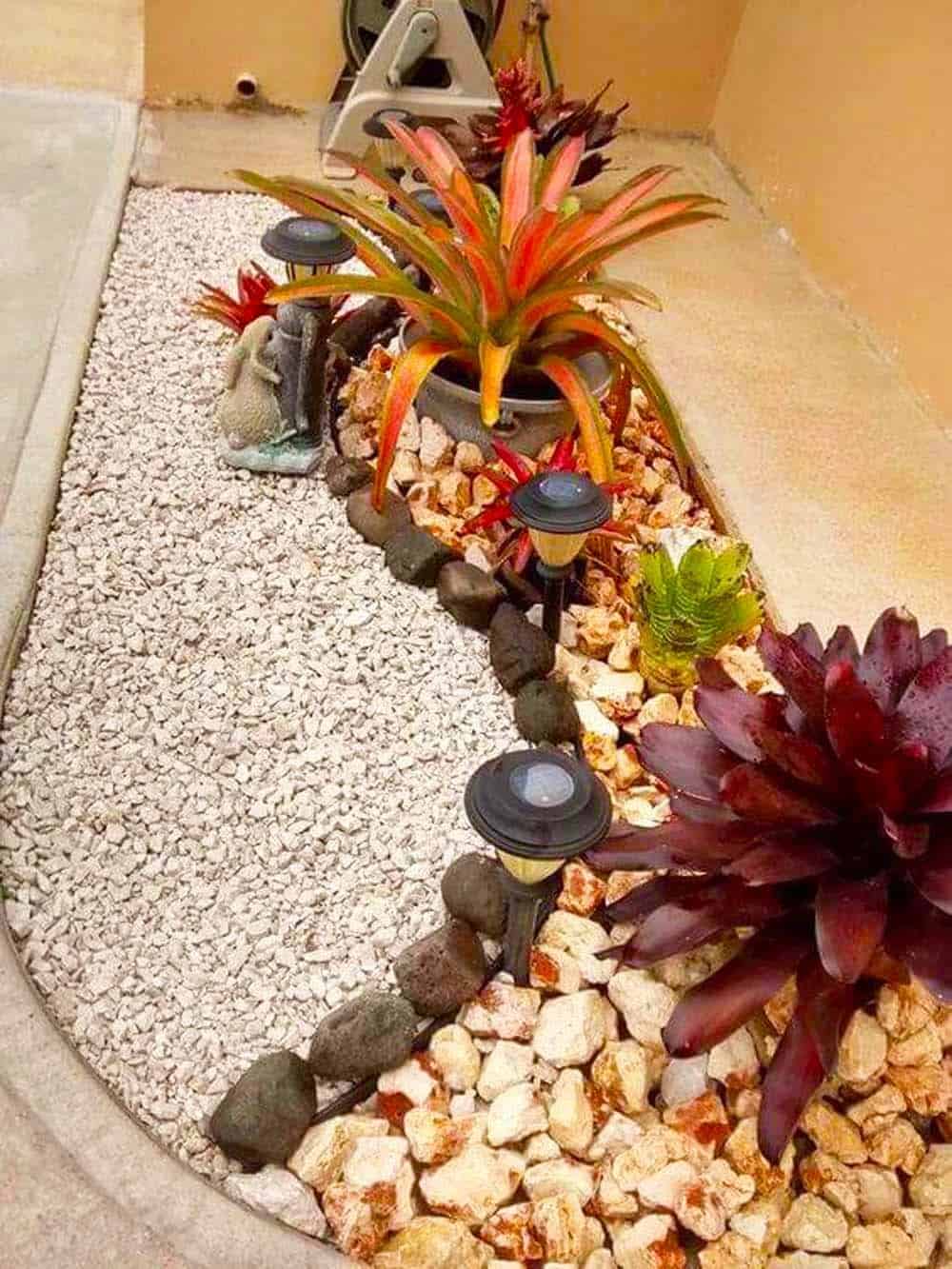 Flamboyant Succulent Feature