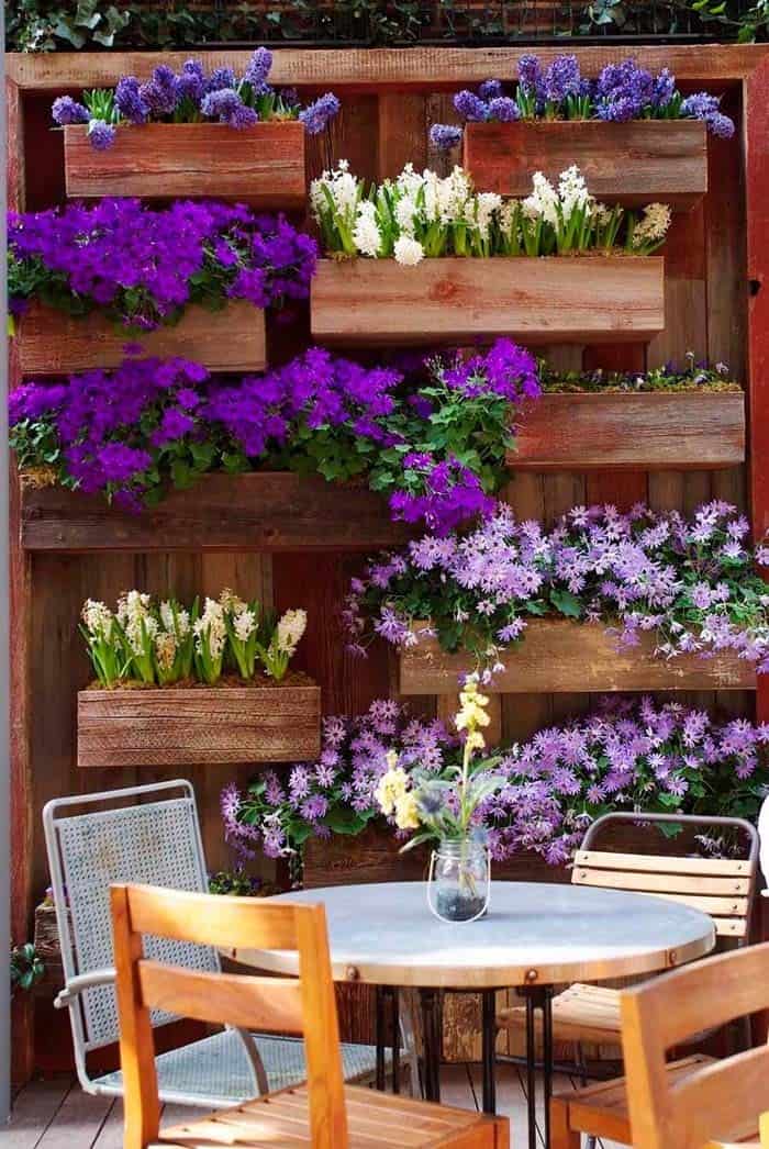 Planter Boxes With Pretty Purple Blooms