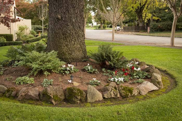 Garden Edging Around Trees