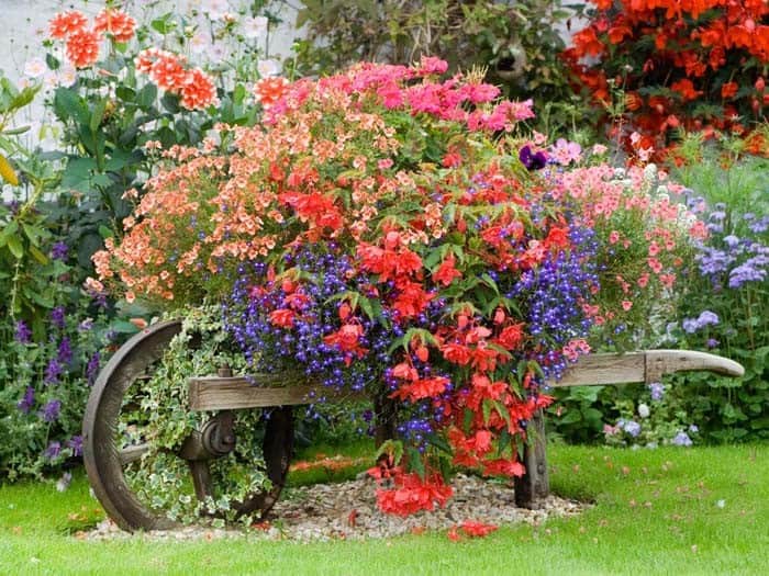 Wheelbarrow Planter Adds Cottage Style Charm