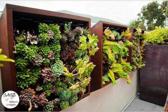 Add Artistic Flair with Wall Succulent Garden