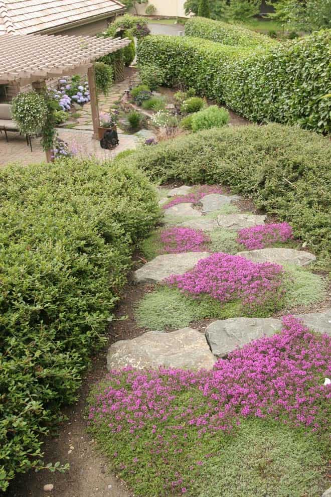 Embellish Hillside Stone Steps with Colorful Ground Cover