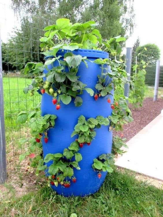 Use a Garden Drum