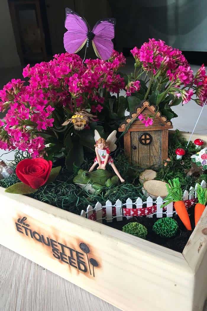 Add Colorful Blooms to a Wood Box Fairy Garden